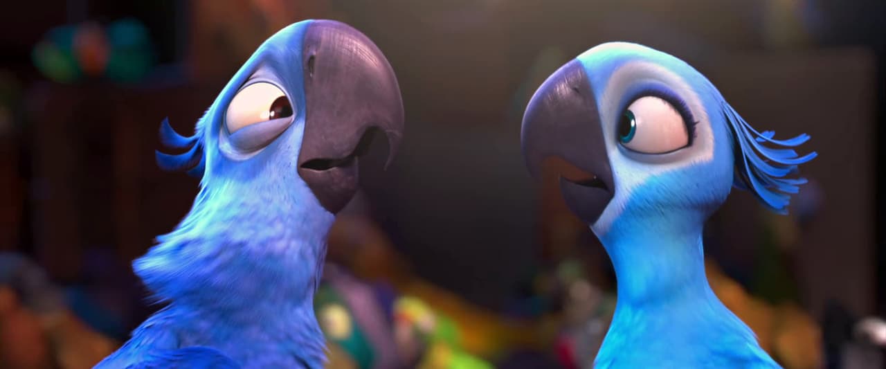 La película ‘Río’ narra la historia del guacamayo ‘Blu’, quien vive en Estados Unidos, no puede volar y es invitado a viajar a Brasil para que se reproduzca con otra hembra de su especie llamada ‘Perla’, con quien vive una gran aventura en contra de los traficantes de animales