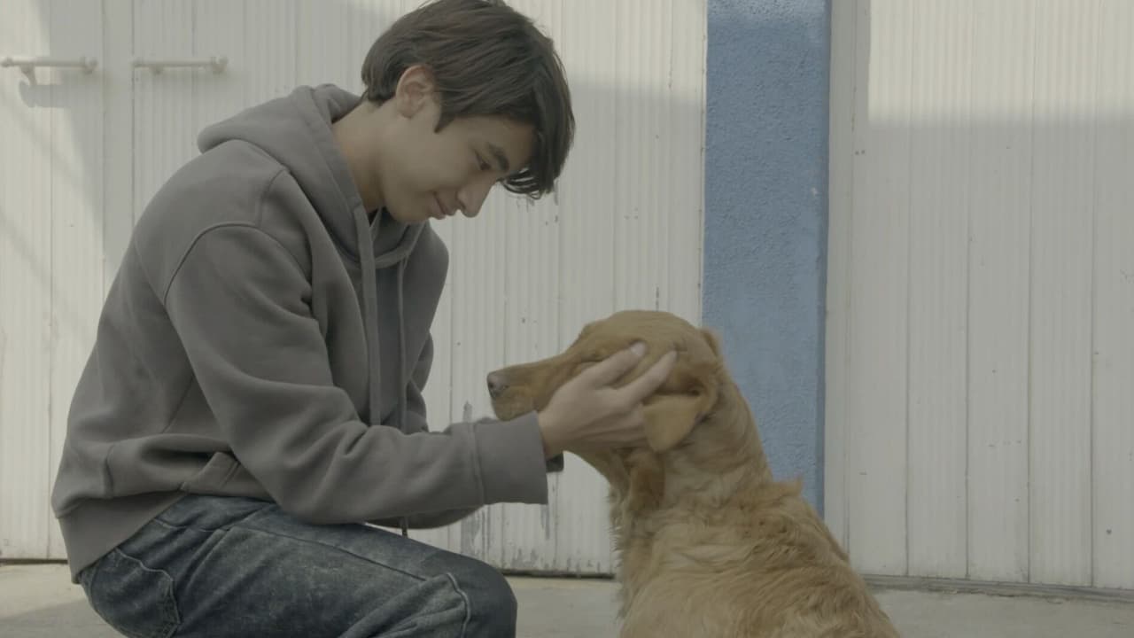 Razones para ver hoy el capítulo de los Therians de La Rosa de Guadalupe