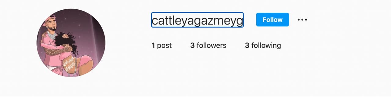 Instagram de Cattleya en 2022