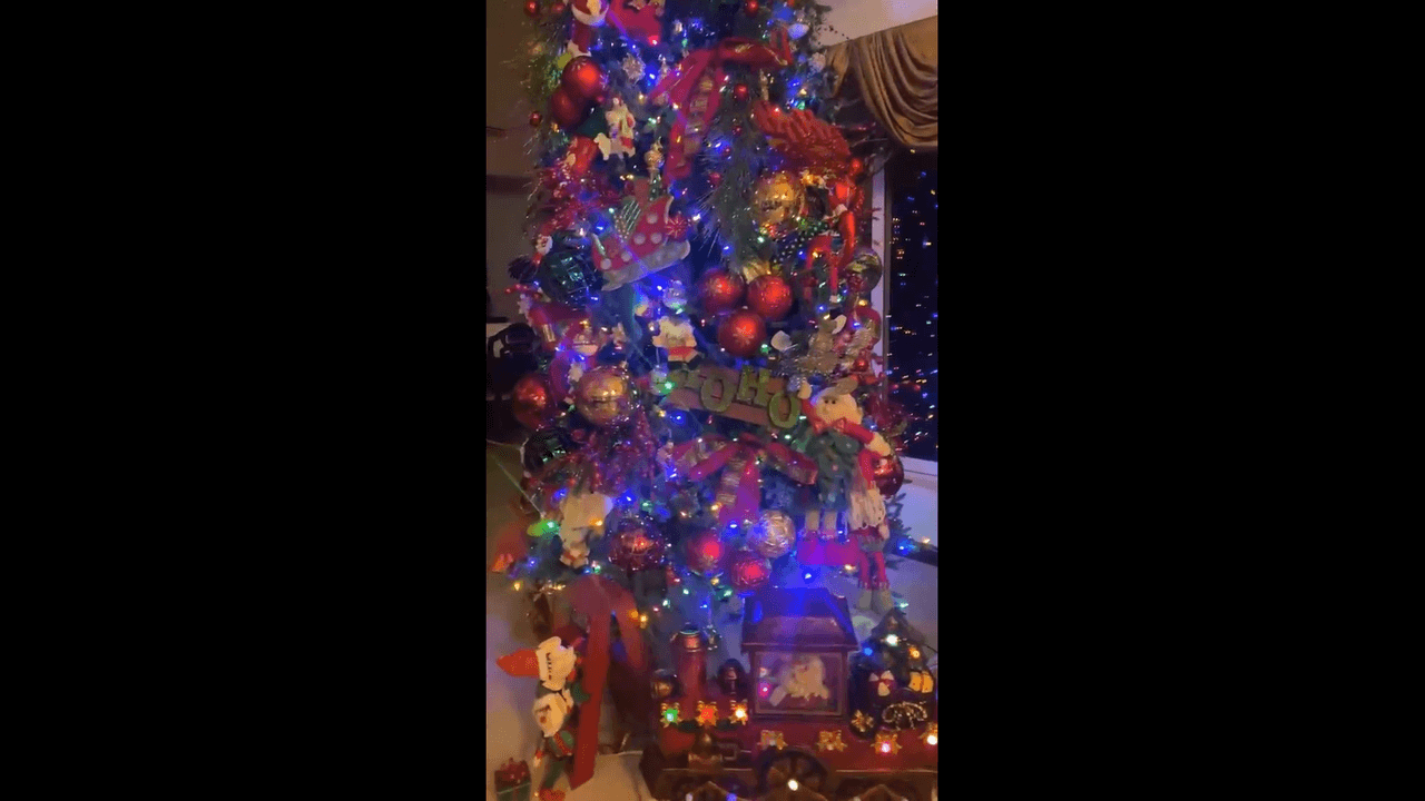 “Ahí va quedando… Estos regalos no tienen nada adentro, es más de decoración. Quedó bien la decoración, hicimos lo que pudimos”, detalló la cantante, al mismo tiempo que mostró que al pie del árbol colocaron un tren y algunos regalos como toque final.