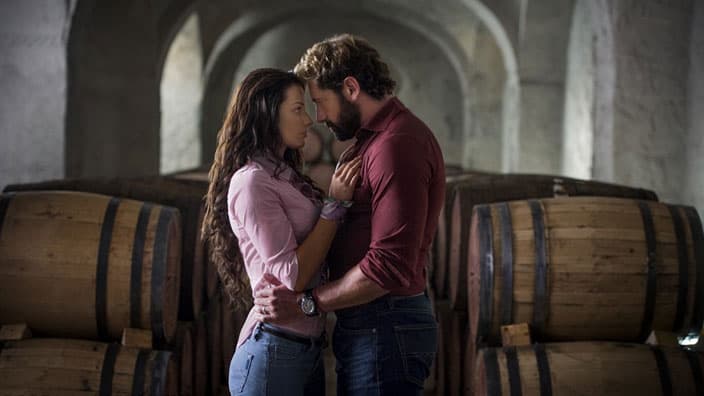 Irina Baeva, Gabriel Soto, Vino el amor