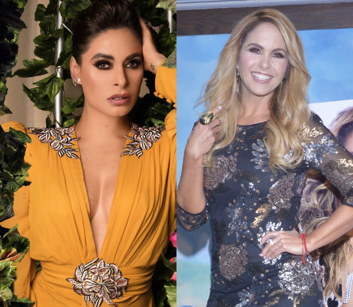 ‘Borraría mi pasado penoso’: dice Galilea Montijo a Lucero