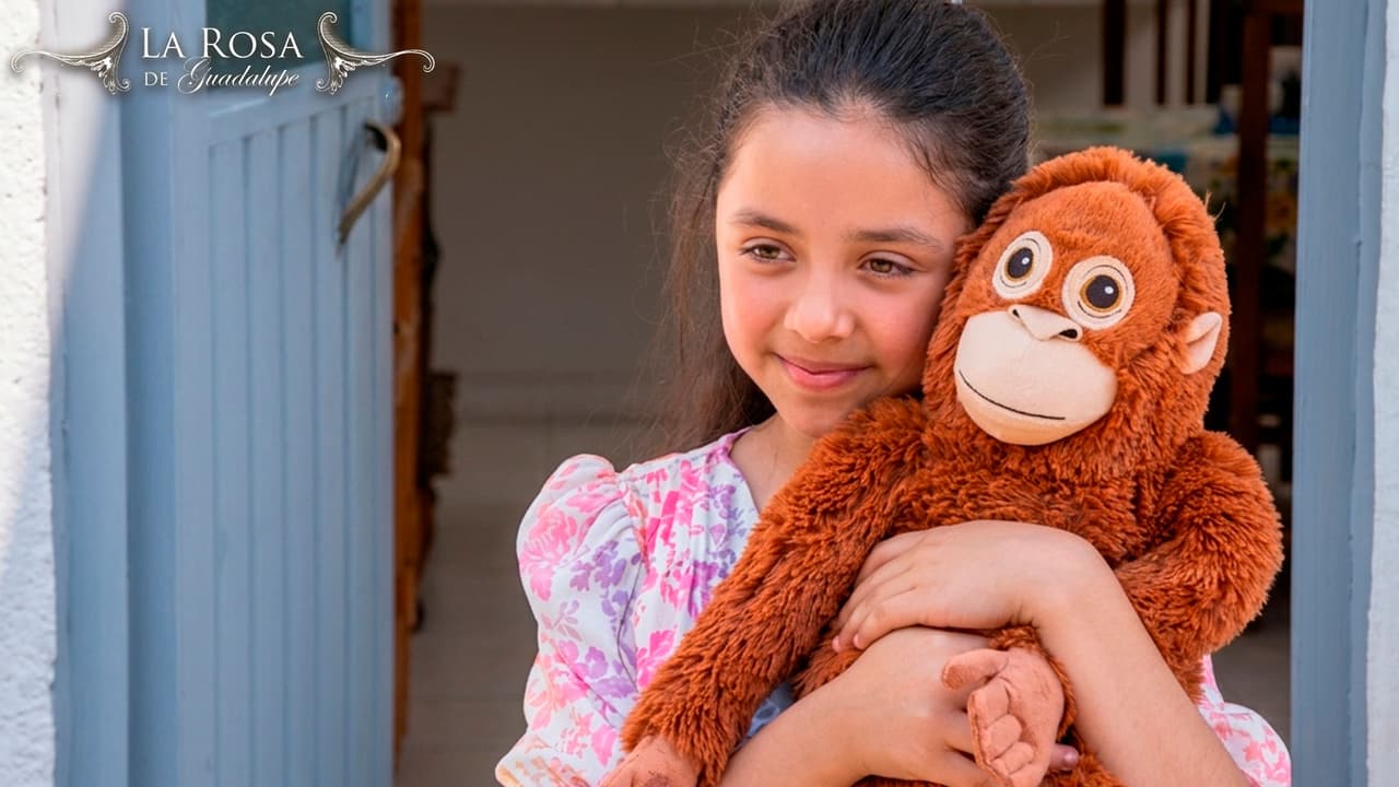 La Rosa de Guadalupe: capítulo completo "Mi amigo Teo"