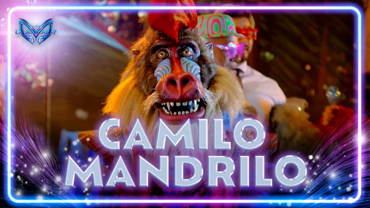 Desde Brasil, Camilo Mandrilo trajo sus pistas con mucha samba a ¿Quién es la Máscara?
