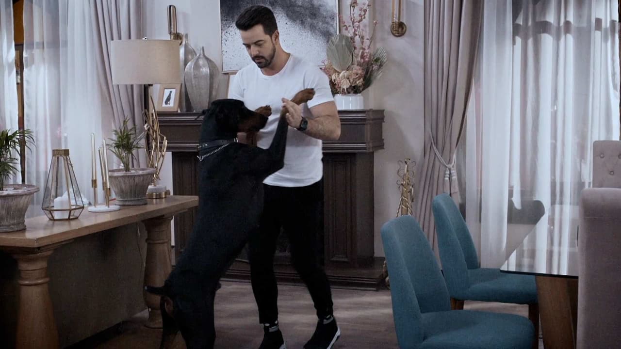 ‘Qué le pasa a mi familia?’ presenta: Clases de baile con Patricio y Guapo