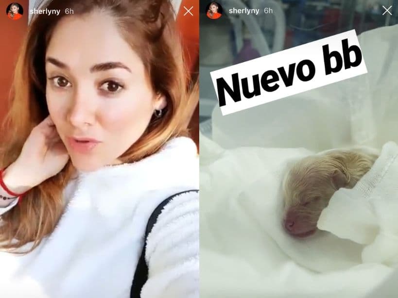 Sherlyn le da la bienvenida a un nuevo miembro de su familia.