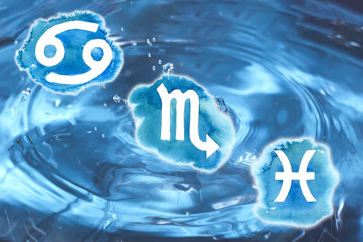 ¿Cómo les irá a los signos de agua en diciembre?