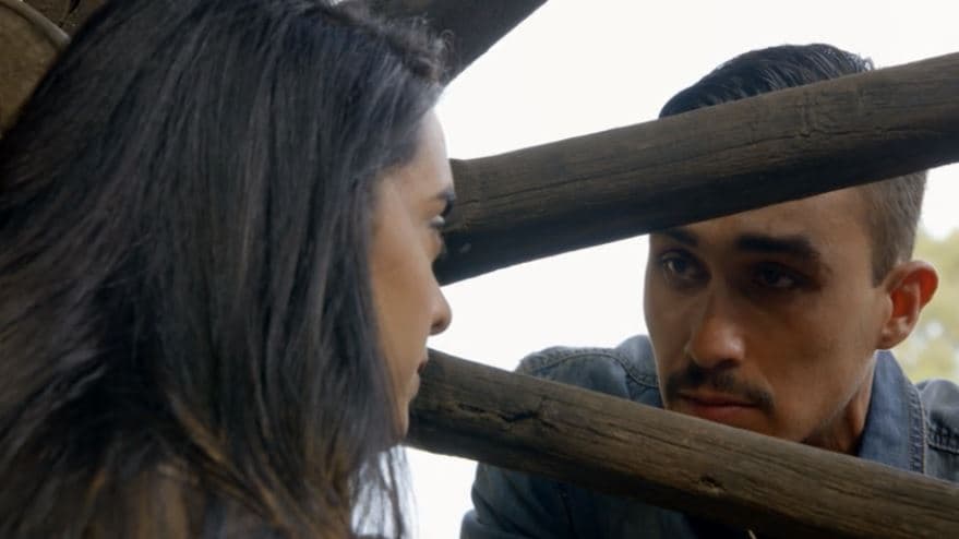 Capítulo 12: Paulino le confiesa sus sentimientos a Vanessa
