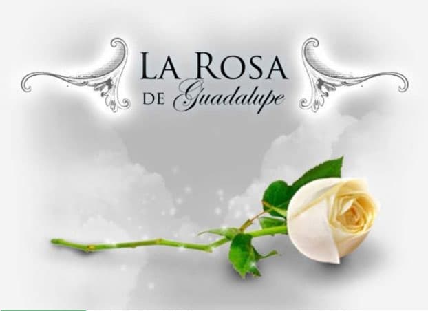 ¡La Rosa de Guadalupe triunfa en Estados Unidos!