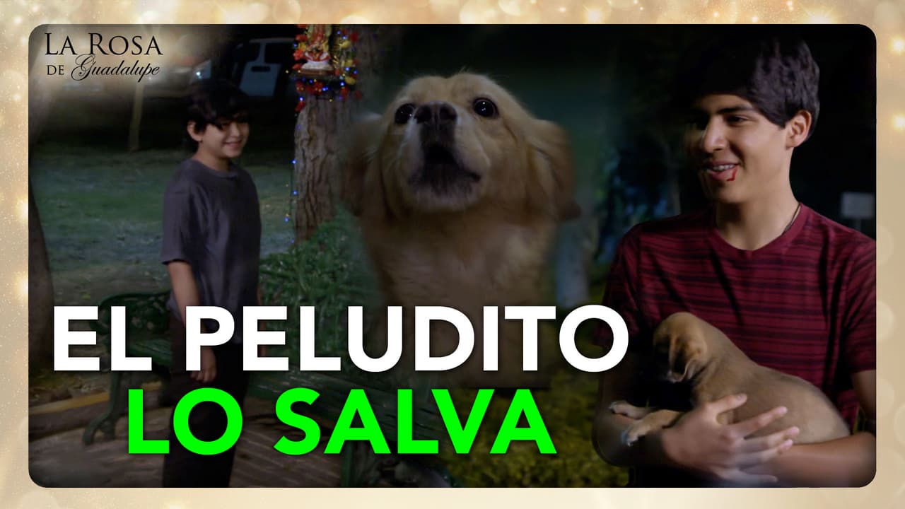 Juan Diego rescata a su amigo del vicio al regalarle uno de sus cachorros