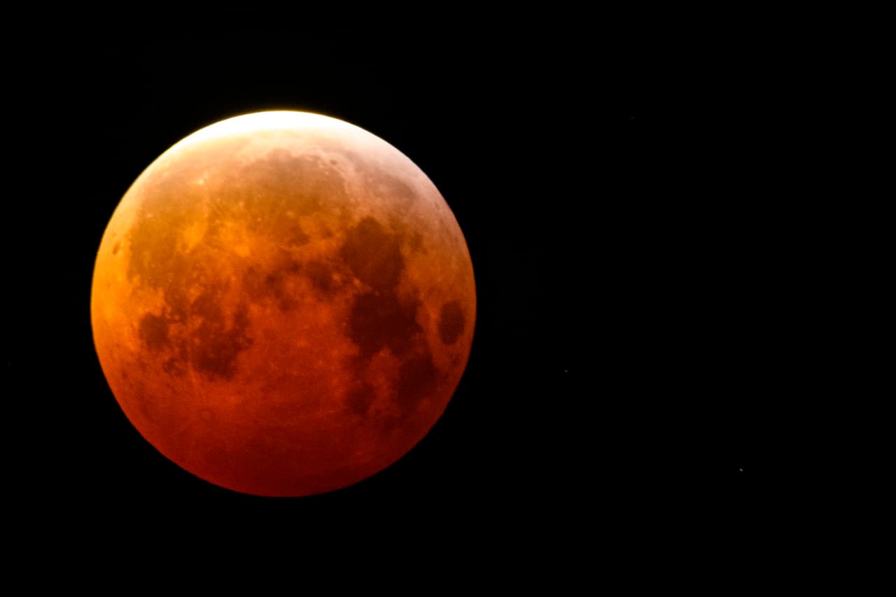 Eclipse Lunar en Tauro del 8 de noviembre, ¿cómo verlo y qué esperar?
