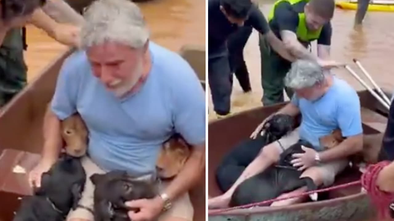 Arriesga su vida para salvar a sus 4 "hijos" (perritos) tras inundación y lo llaman "héroe sin capa" 