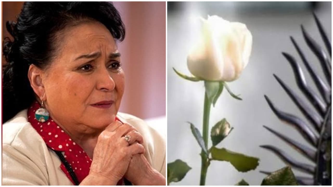 Lecciones para la vida que 'La Rosa de Guadalupe' nos ha enseñado (y no es broma)