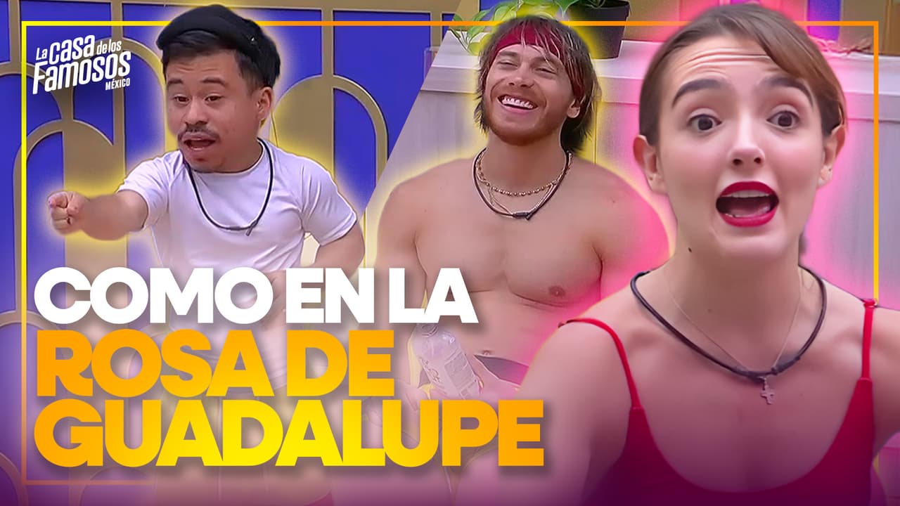 ¿Adiós a la amistad? Abelito y Elaine protagonizan gran escena tras la Prueba del Presupuesto