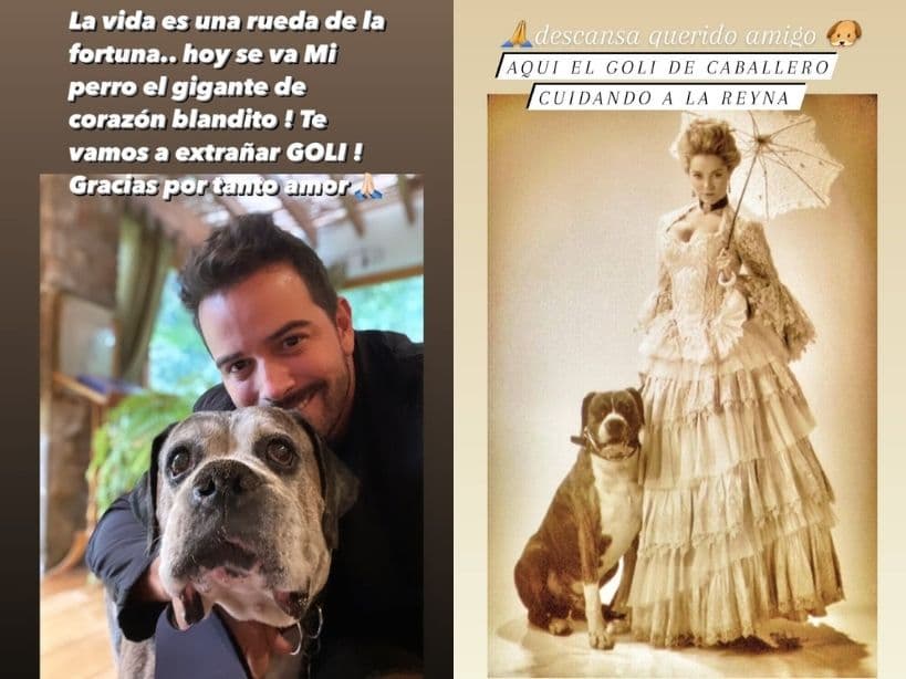 Mane de la Parra se despidió de su perrito con conmovedoras fotografías
