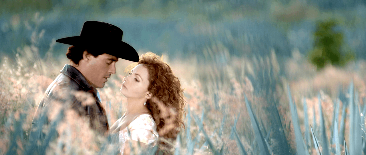 Nicandro Díaz ve éxito de ‘Destilando amor’ como muestra de que el melodrama está más vivo que nunca