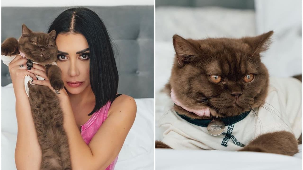 Karime Pindter comparte que extrañará mucho a su gato al entrar a 'La casa de los famosos México'