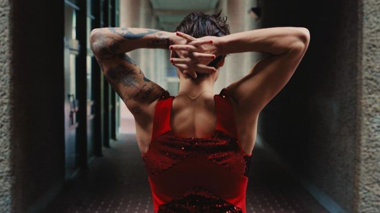 Harry Styles: las películas y conciertos que puedes ver en línea