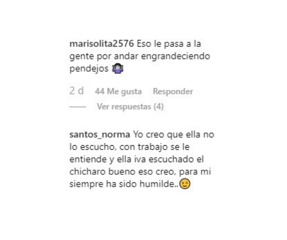 La periodista Nelssie Carrillo compartío el video del fan.