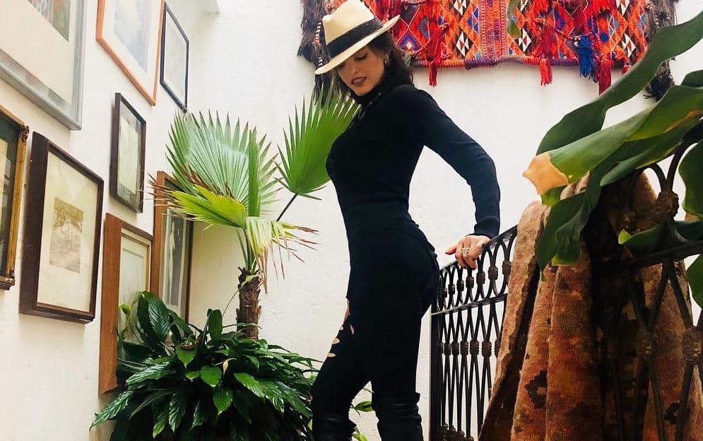 Ana Bárbara fue demandada por ser madre