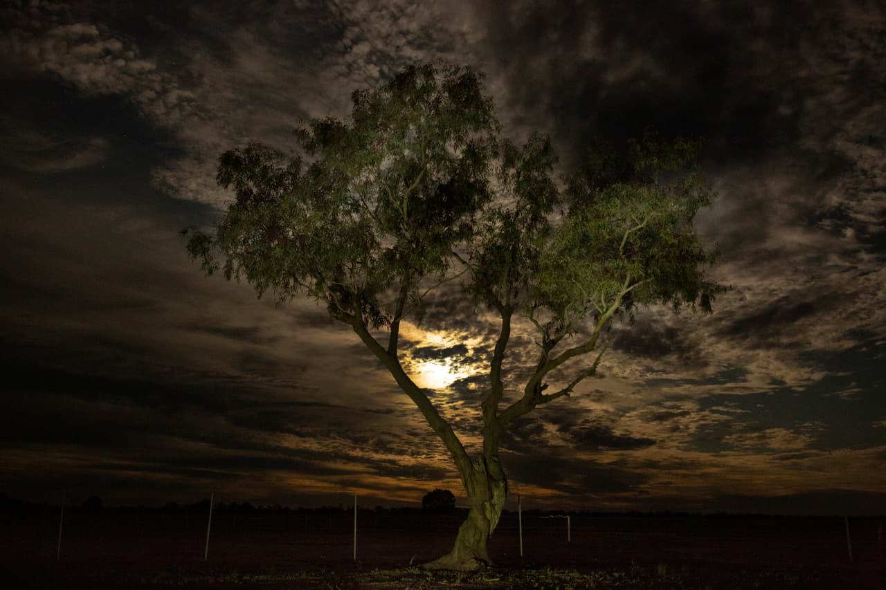Una 'Súper luna' llena, parcialmente oscurecida por las nubes, se ve en aumento en Australia el 08 de abril de 2020 en Louth, Australia.