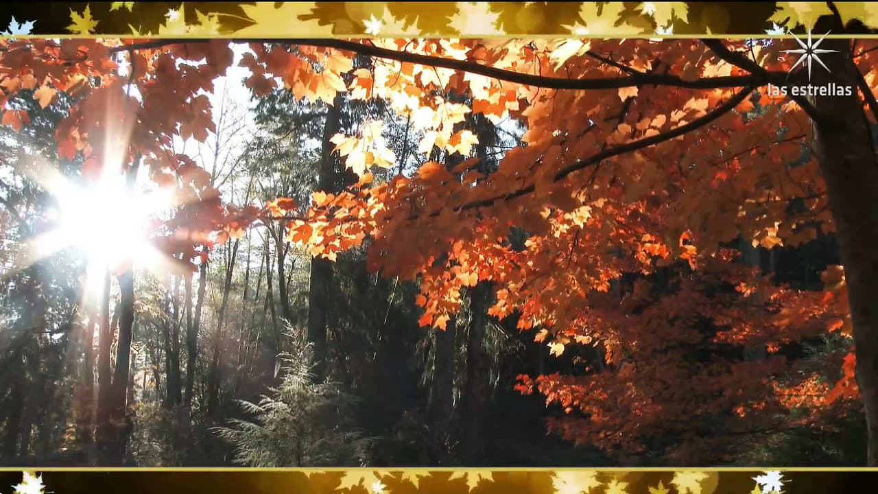 ¿Por qué engordamos más en otoño? Esta y otras curiosidades de dicha estación del año