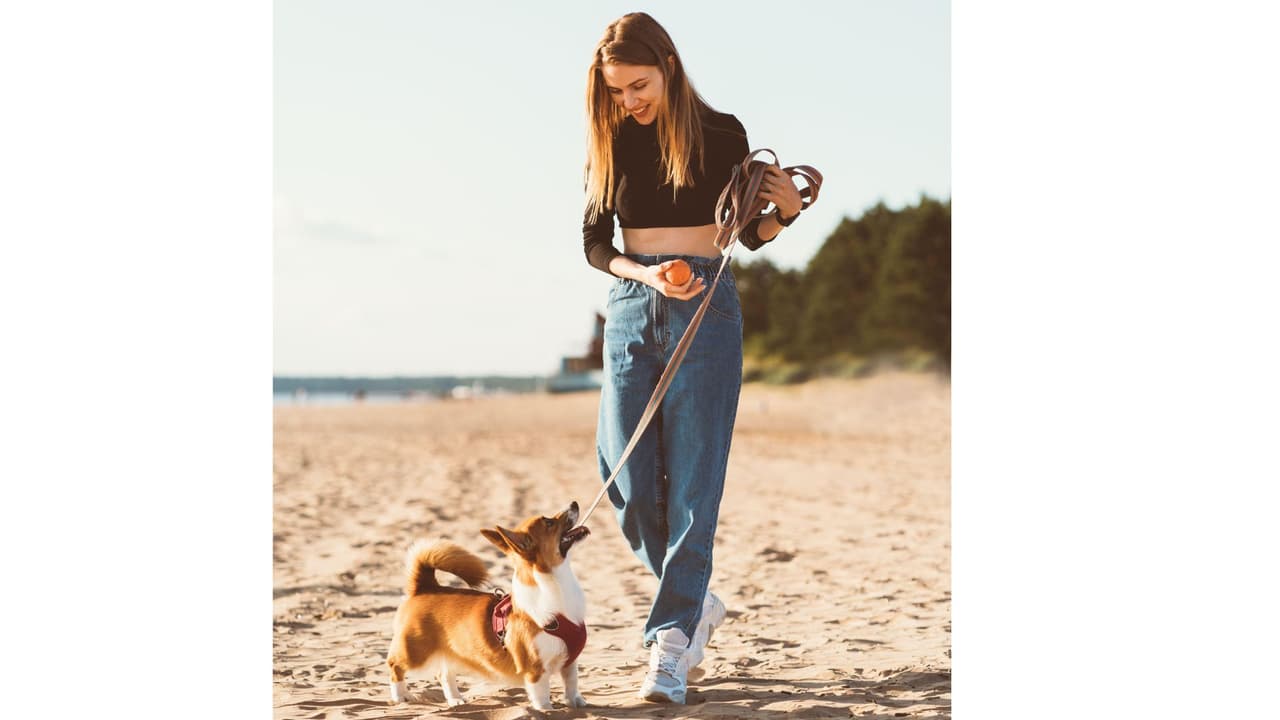 Perro camimando en la playa con su dueña
