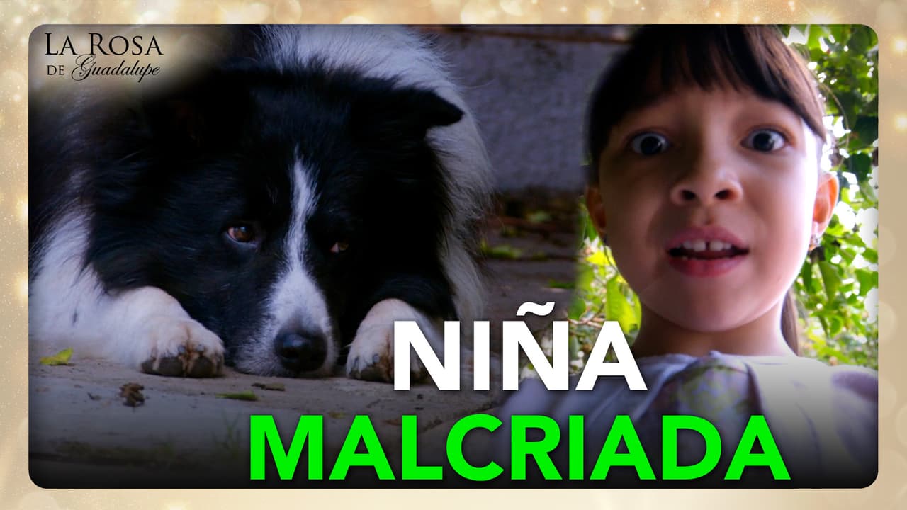 Una niña malcriada hizo sufrir a Ángel pero Don Beto logró rescatarlo