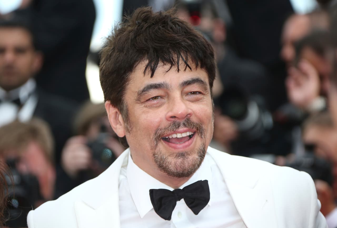 Del Toro, junto a otros cinco miembros, escogerán al ganador de Una Cierta MIrada, compuesto por 18 filmes