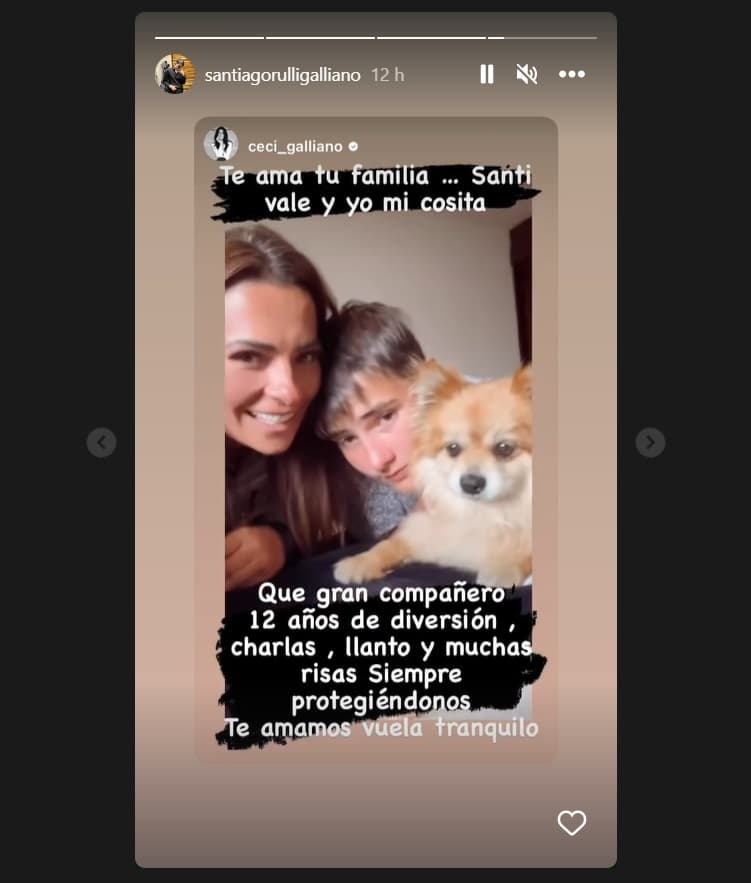 Cecilia Galliano y su hijo Santiago se despiden de su perrito