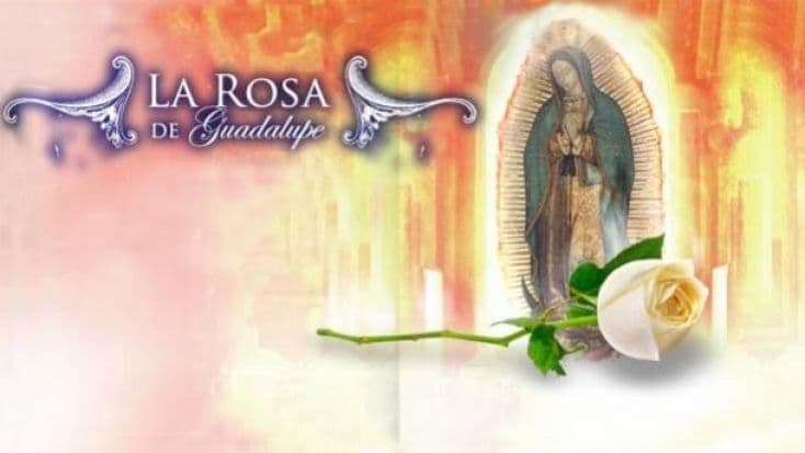 Exclusivo maratón de La Rosa de Guadalupe 31 octubre 2014