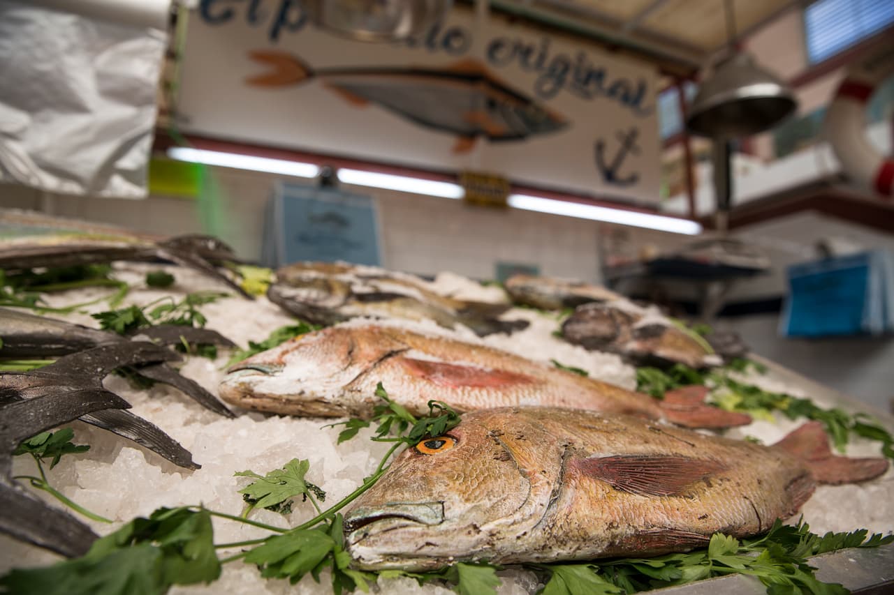 Mientras que la pescadería y pollería es utilería y se usaron moldes para hacer los productos.