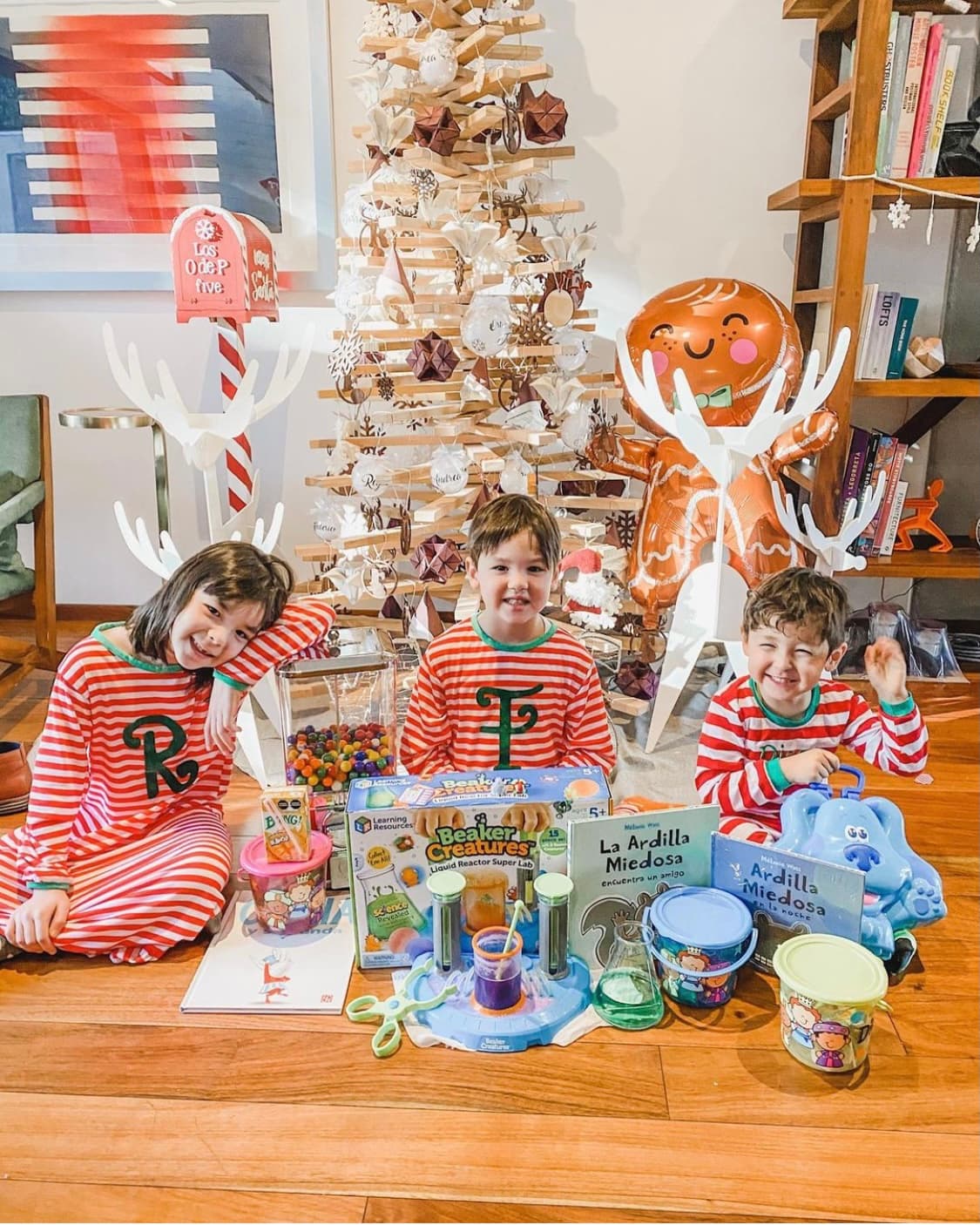 Andrea Torre, quien es mejor conocida por su papel de 'La Nena' en 'Una Familia de Diez' también compartió una fotografía de sus tres hijos: Regina, Federico y Diego al pie de su árbolito de navidad, posando frente a los presentes que los Reyes Magos les trajeron.