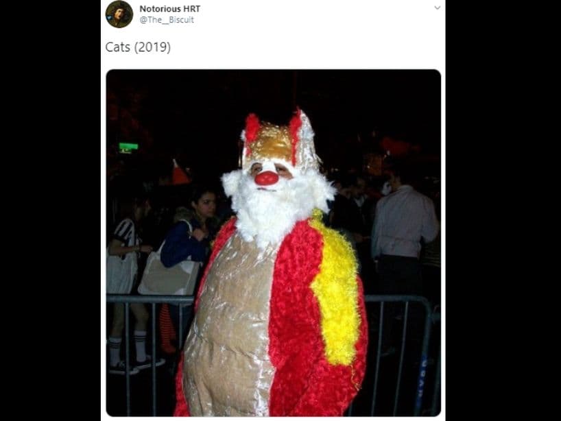Su pelaje, bigotes y orejas provocaron una ola de memes en redes sociales.