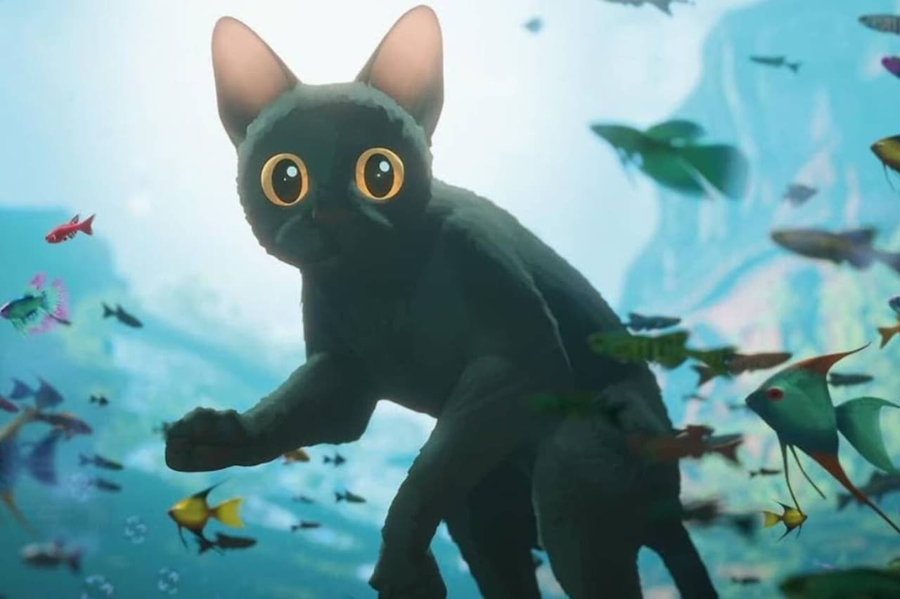La película ‘Flow’, ganadora de un premio Oscar, disparó las adopciones de gatos negros 