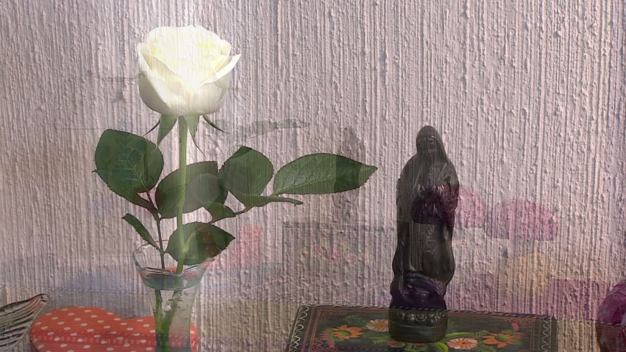 Súper maratón de La Rosa de Guadalupe