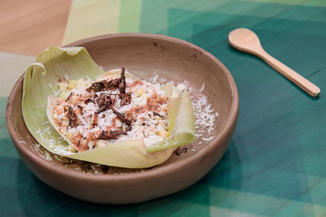 Cada familia innovó la preparación de los tradicionales esquites. La familia Vásquez por ejemplo, incorporó mezcal y chapulines a su mayonesa.