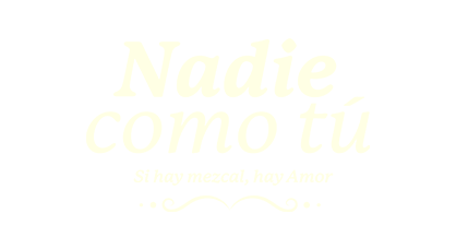 Nadie Como Tú