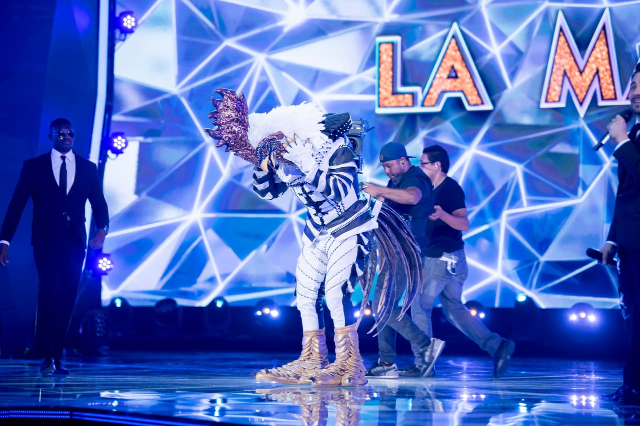 Conoce la identidad de Gallo en ¿Quién es la Máscara?