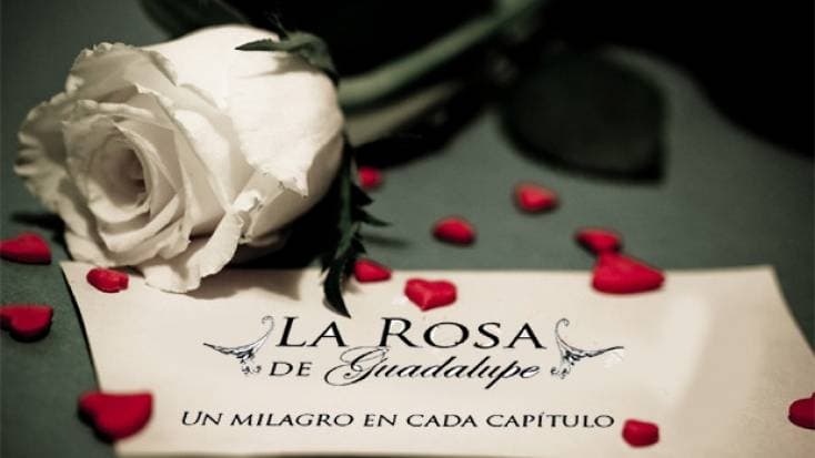 Entérate: ¡La rosa de Guadalupe llega con 2 capítulos diarios!