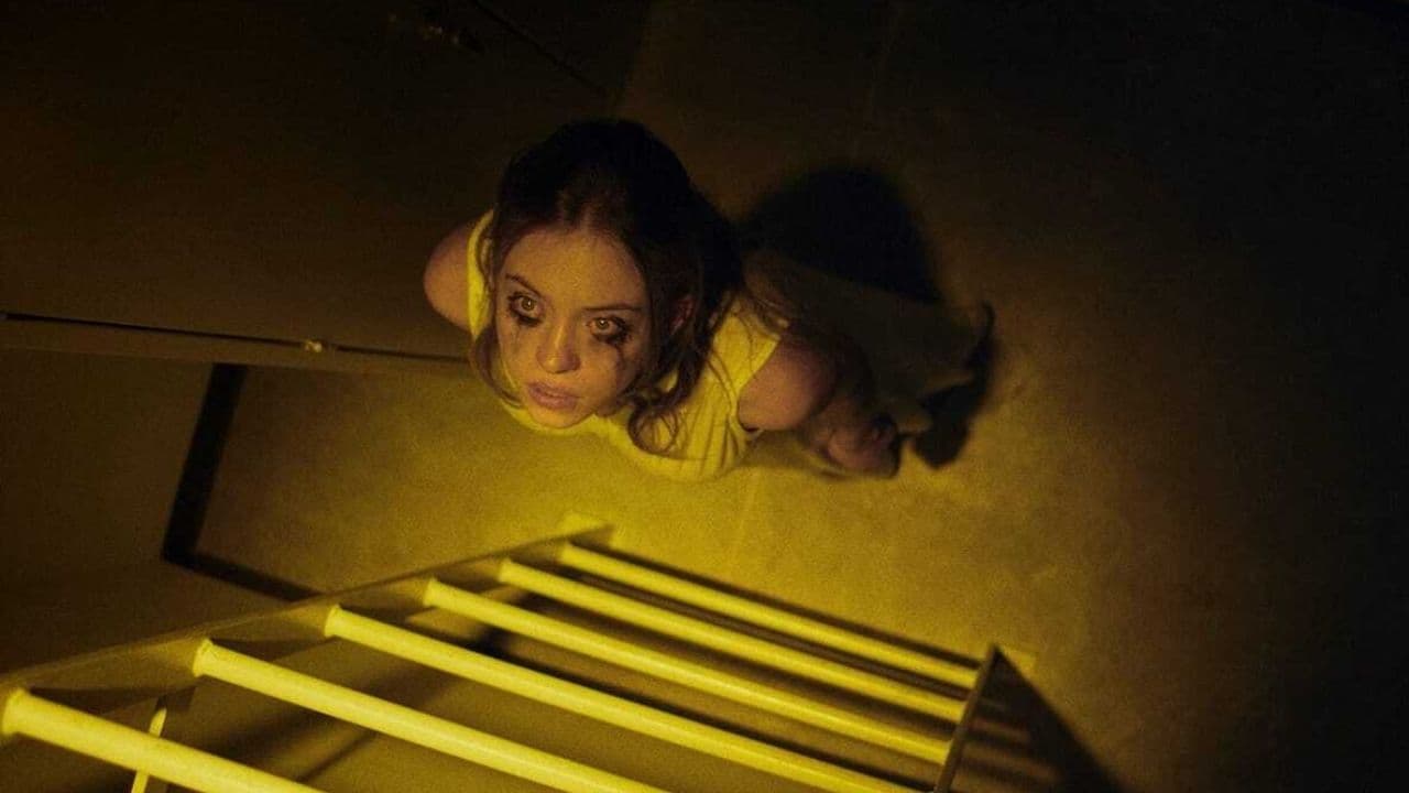 Otras series y películas en las que podemos ver al elenco de Euphoria