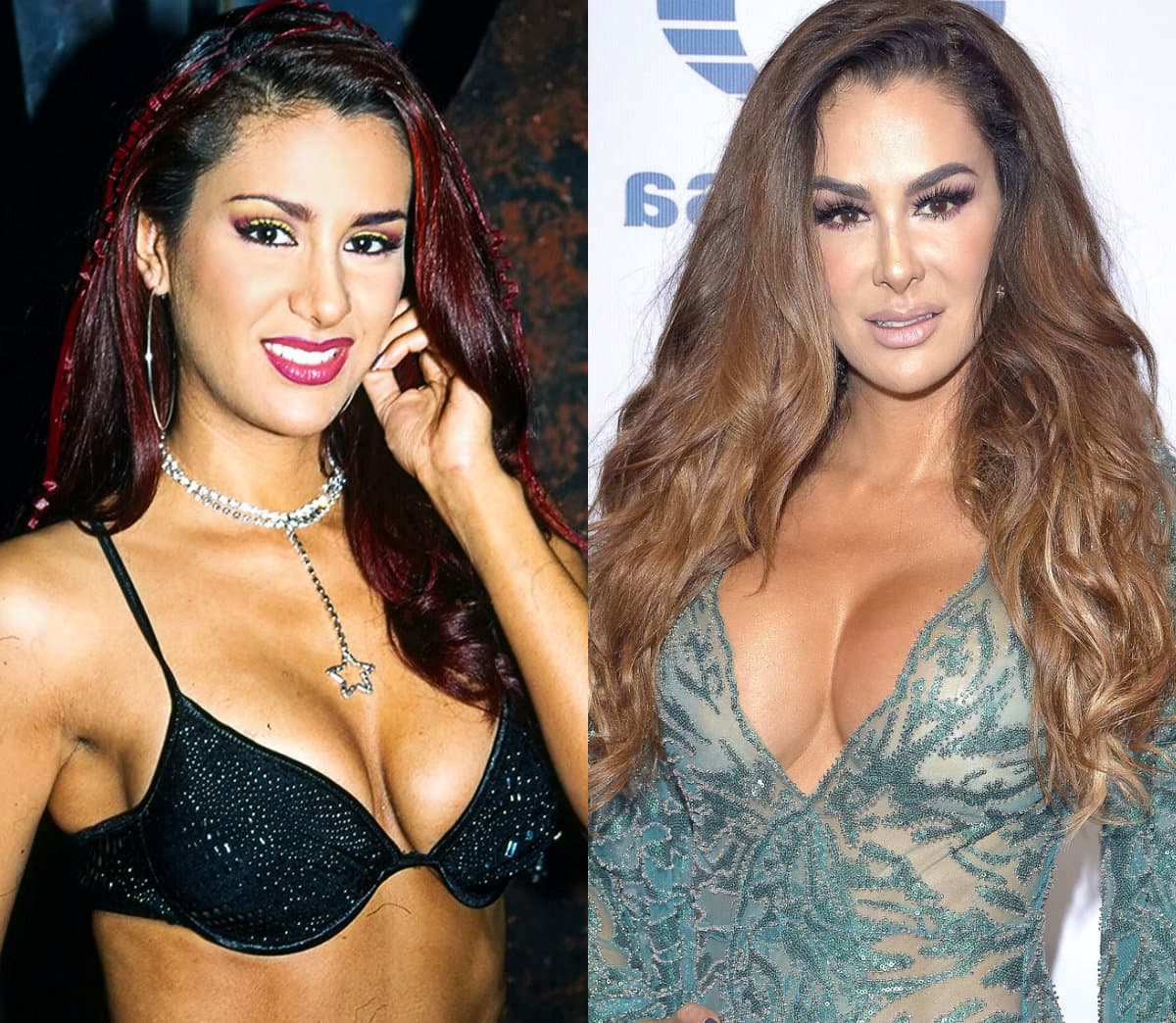 Ninel Conde. La actriz modificó se aumentó el busto y cambió su rostro con rinoplastía e inyecciones de colágeno.