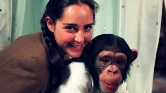 Las 5 telenovelas clásicas de Irán Castillo