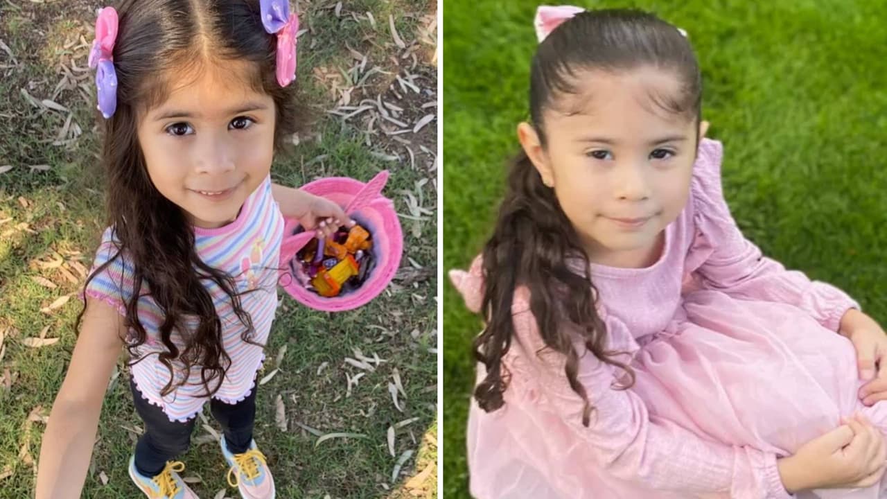 Una niña de 5 años murió por un disparo que le dio su hermanito de 9: El padre de ambos fue detenido