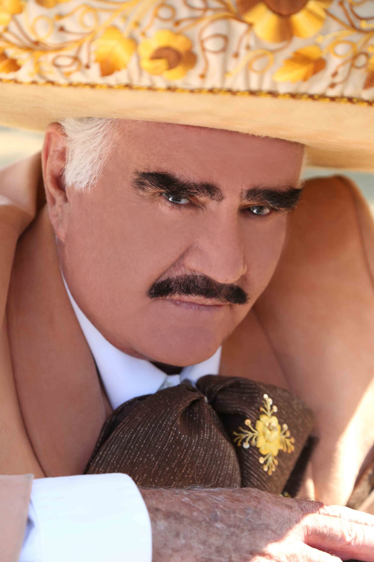 Vicente Fernández