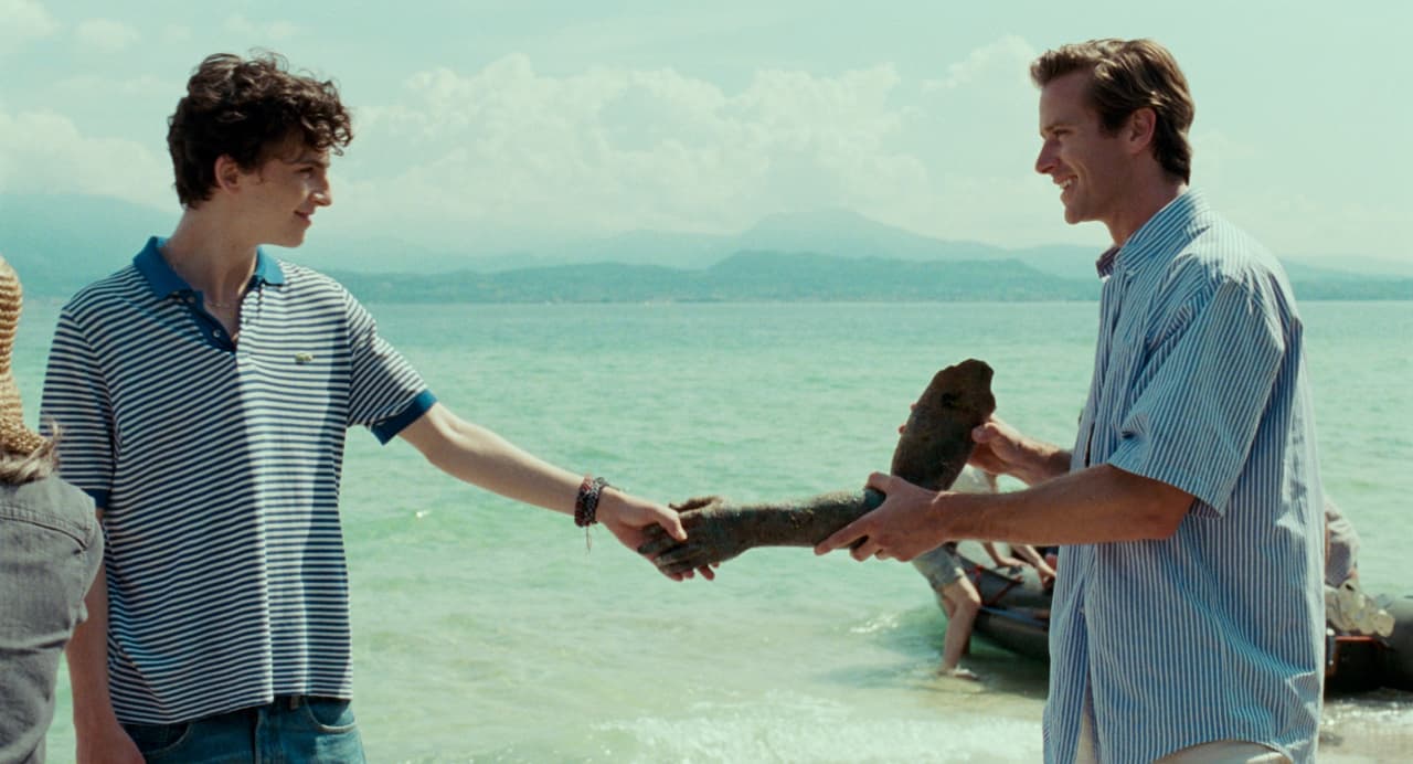 <b>‘Llámame por tu nombre’</b> (2017)
<br>La película de 132 minutos llevó a la pantalla grande el romance LGBT+ escrito por André Aciman; curiosamente no sólo los fans del libro amaron la adaptación, sino que la Academia premió al guion con un Oscar en 2018.