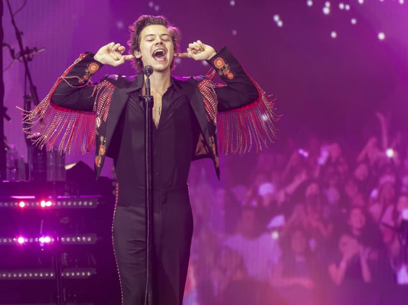Harry Styles fue recibido con una enorme ovación