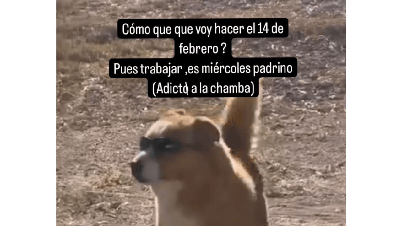 Memes del Día de San Valentín (14 de febrero)