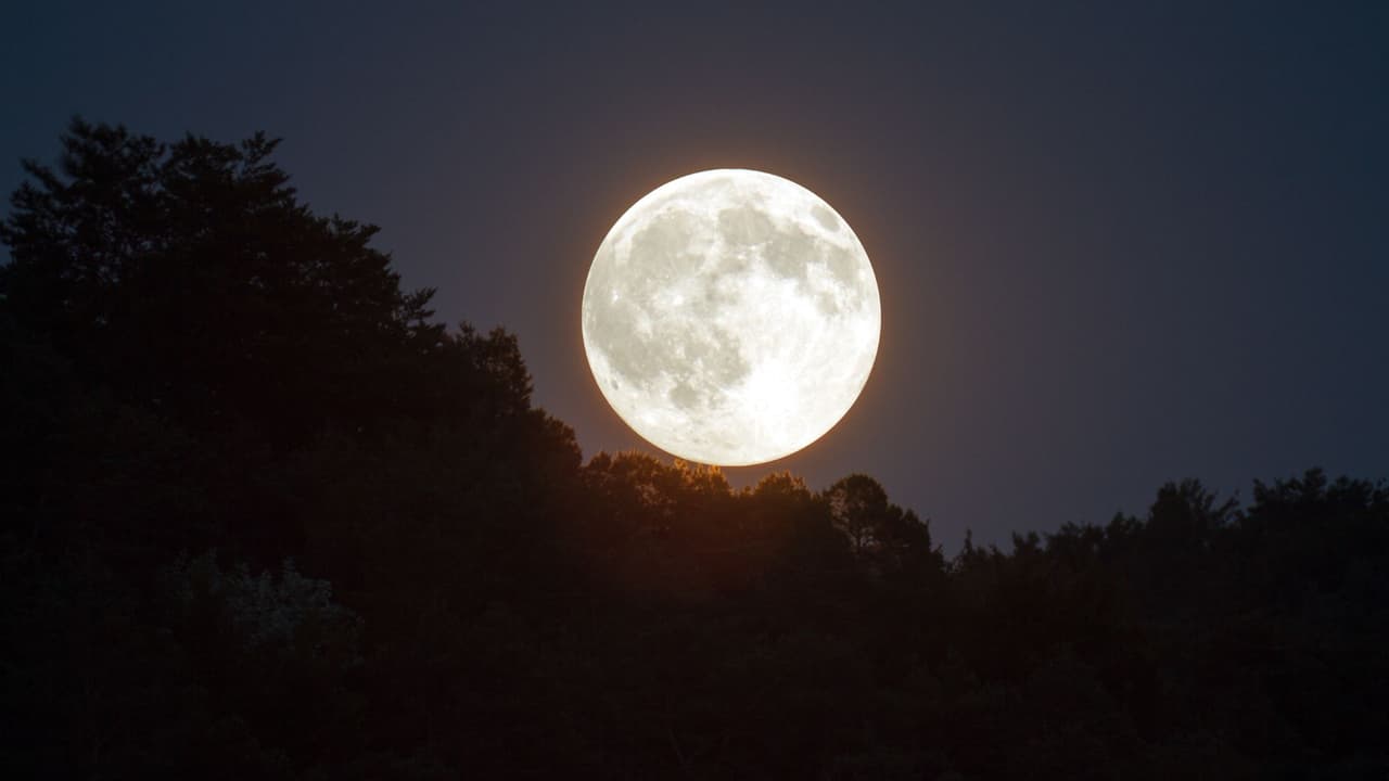 Calendario Lunar: ¿Cuándo habrá Luna Llena en 2025?