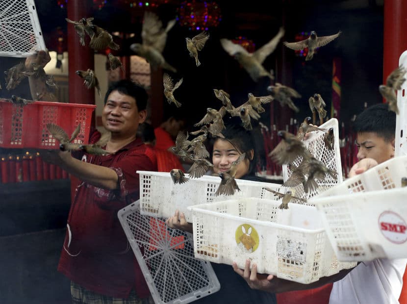 Liberar aves durante la celebración del Año Nuevo, simboliza la buena suerte.